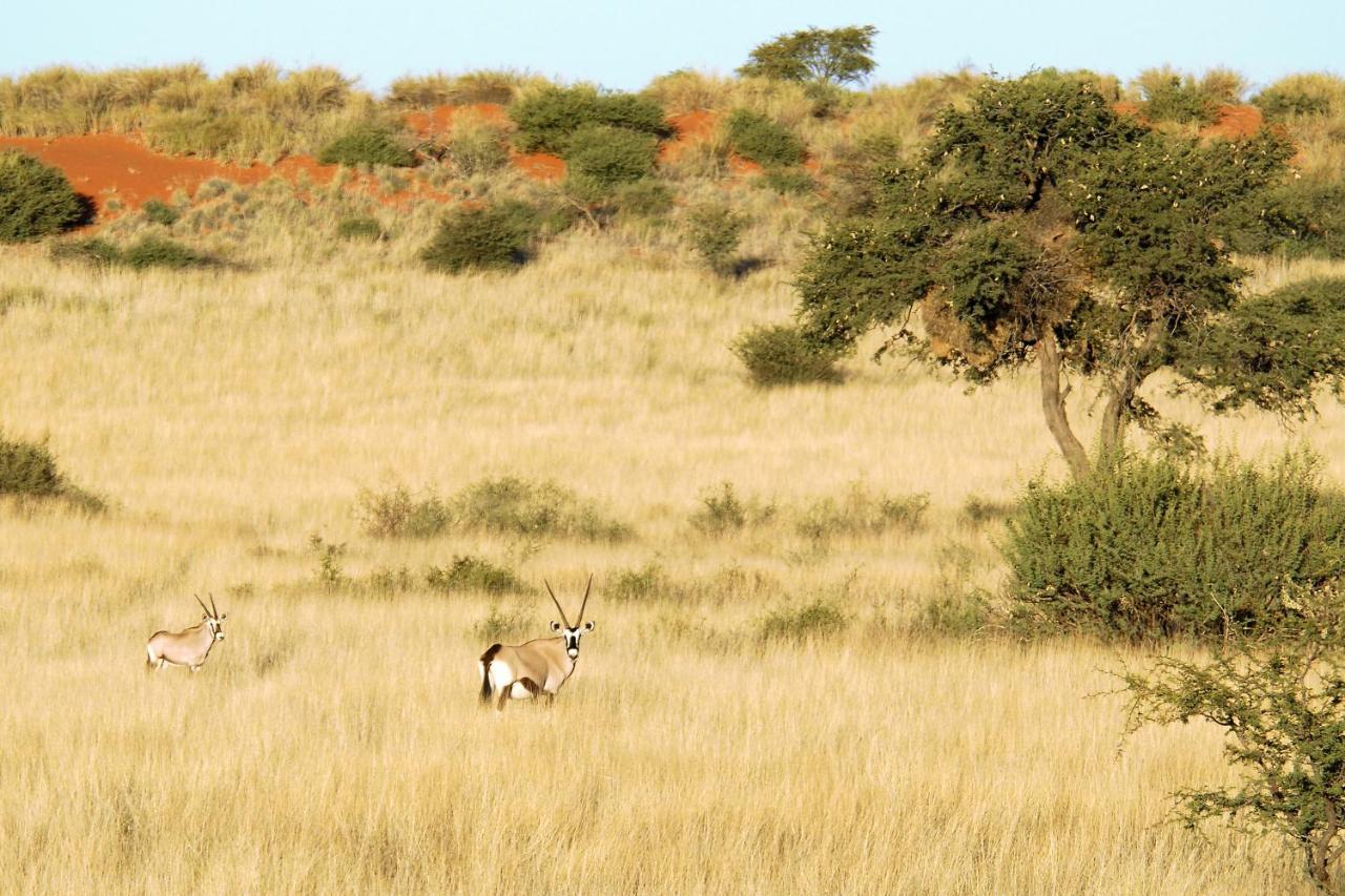 Kalahari Anib Camping2Go Mariental Exteriér fotografie